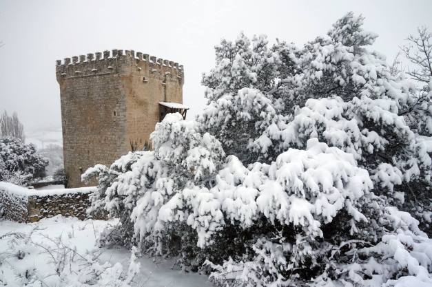 10842222_816956931685509_7145782957893736142_o