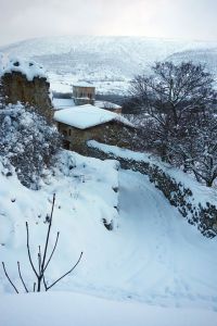 10955578_817370544977481_1326902867133792264_o