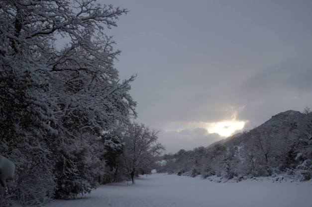 10960203_816956888352180_7339311453675755615_o